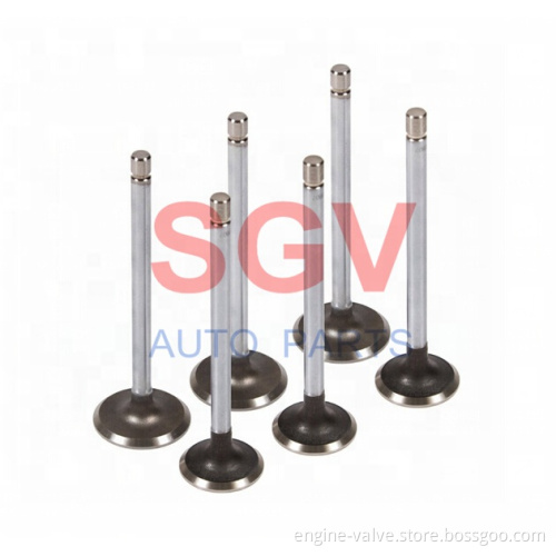 Auto Parts Supplier: Engine Valves Factory